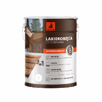 Greitai Džiūstantis Lakas Medienai balta 5L Dragon